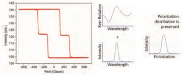 Mag Vision – ảnh 4
